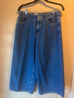 Pilcro Pleated High-Rise Crop Wide-Leg Jeans from Anthropologie